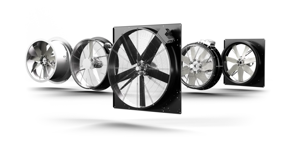fan